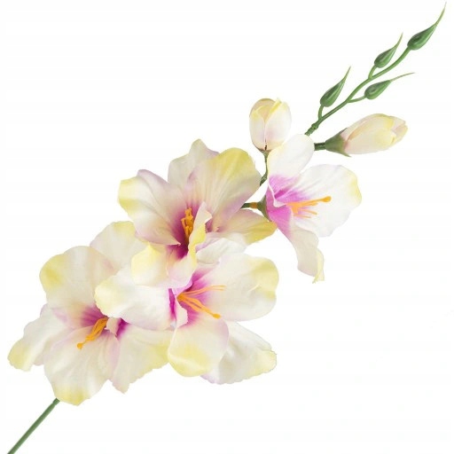 

Mieczyk Gałązka Kremowy Sztuczne Kwiaty 45CM