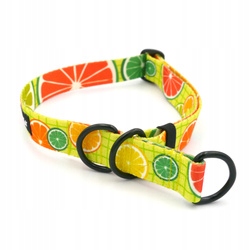 Polostahovací obojek Limonáda Psiakrew M/L