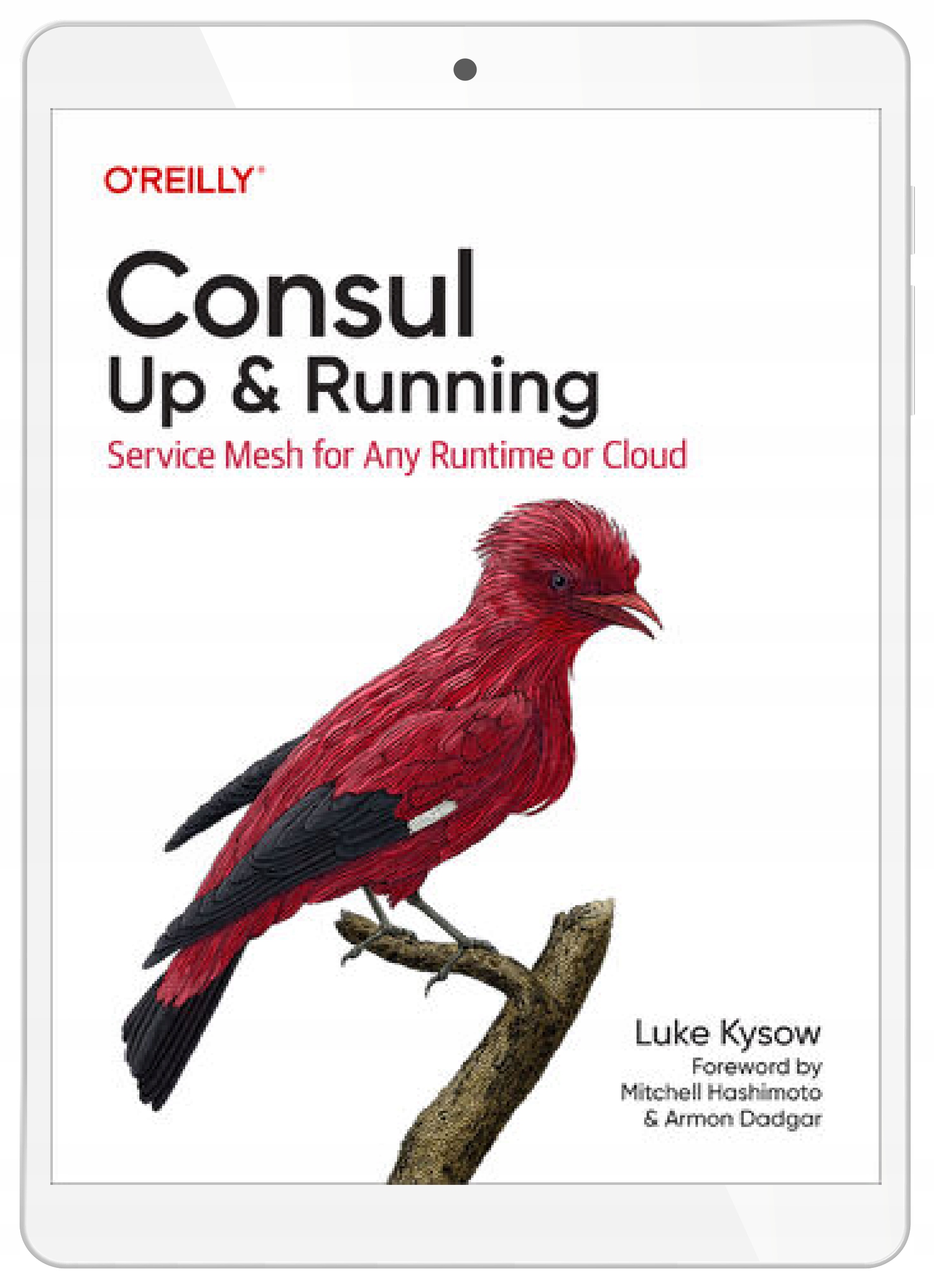 Consul: Up and Running