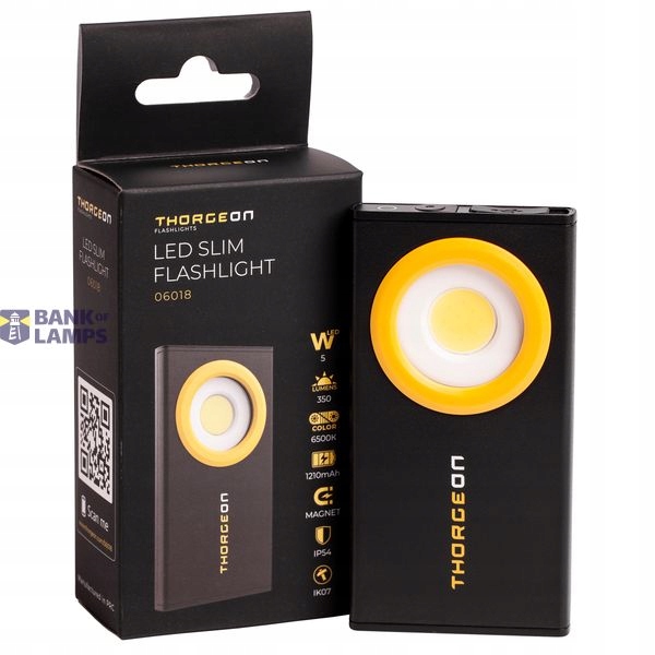 Thorgeon Led svítilna 5 W 350 lm IP54 06018