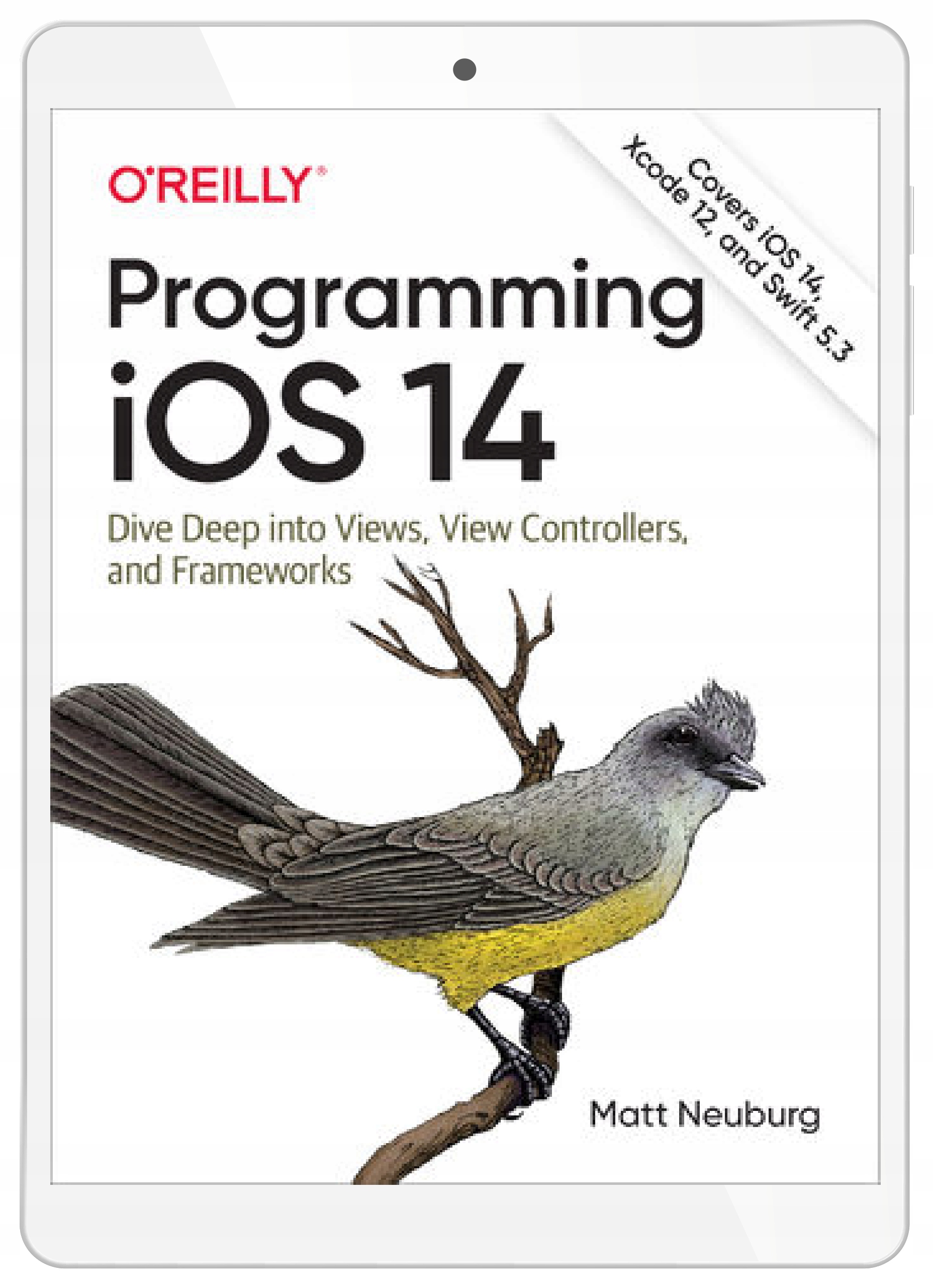 Programming iOS 14