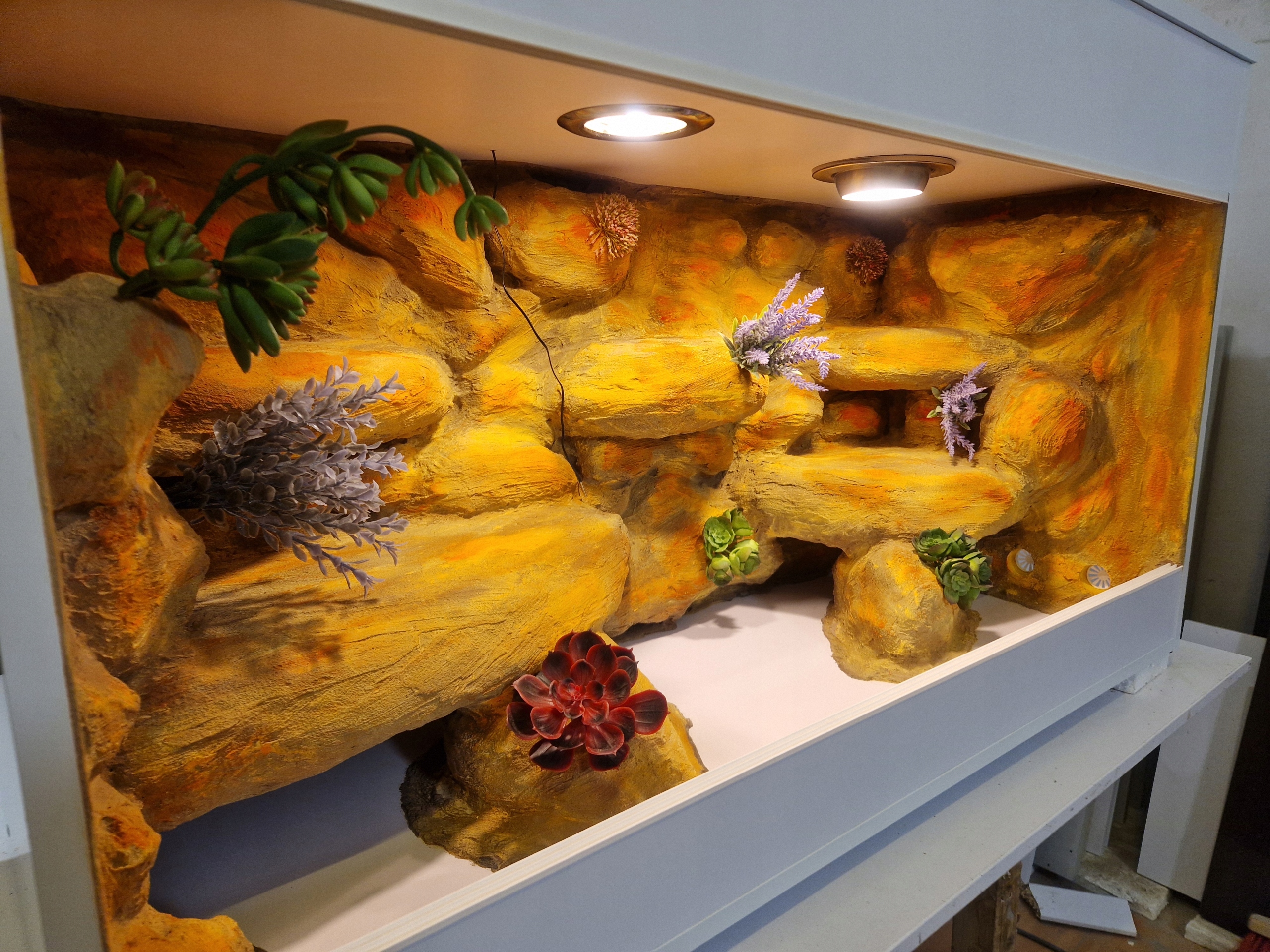 Pouštní Terárium S Uspořádáním A Vybavením Agama 160X60X60 Na Objednávku