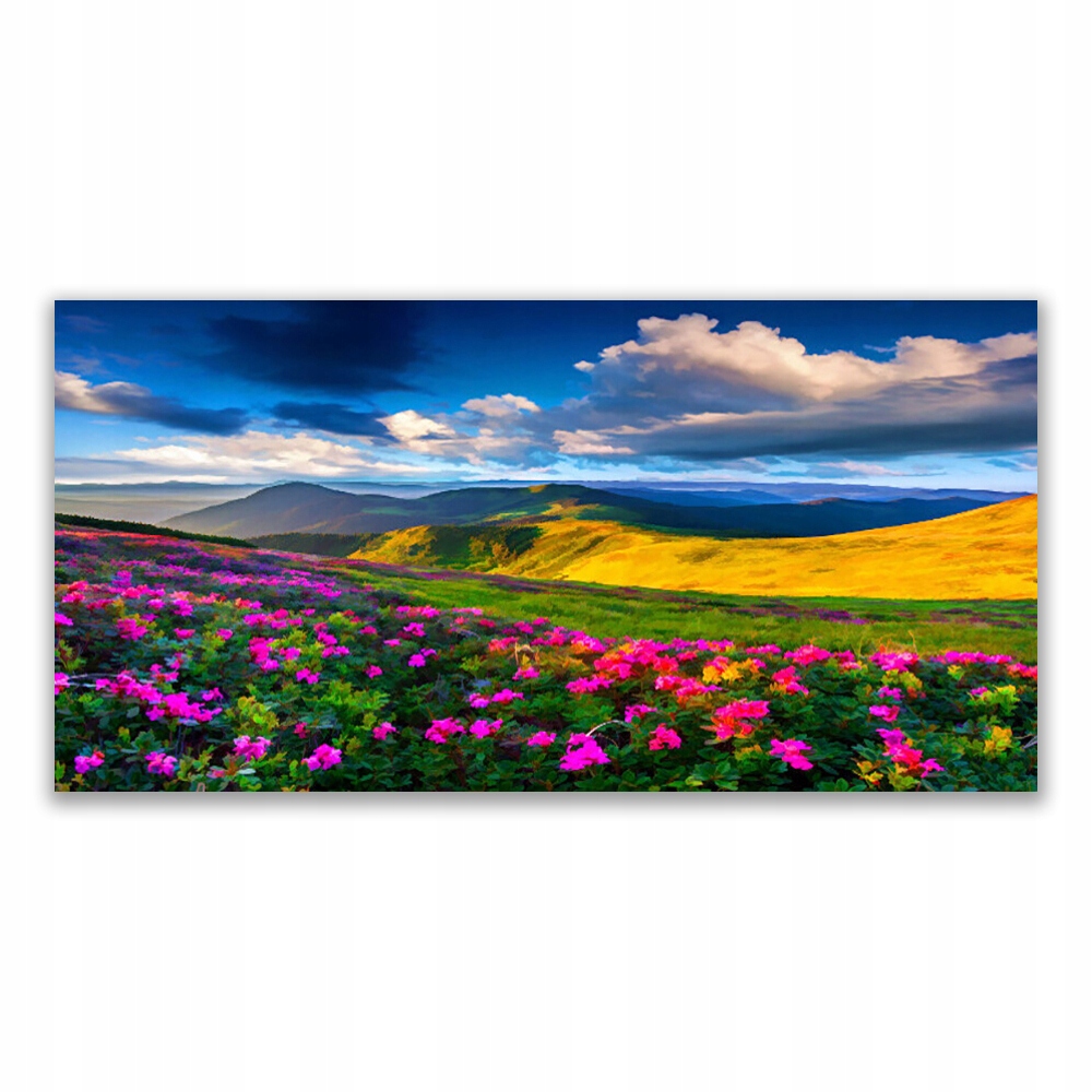 

Obraz akrylowy 120x60 Łąka Kwiaty Natura Roślina