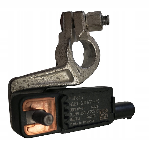 FORD FIESTA MK8 2017-2023 Borne négative H1BT10C679AC