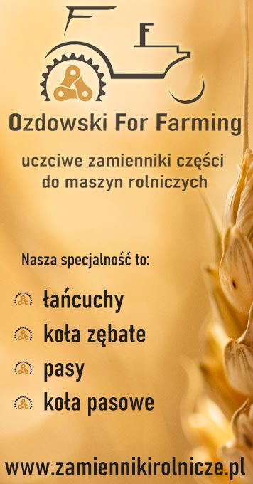 8862615 - ŁAŃCUCH DO PRASY GALLIGNANI LUB POTTINGER - 22 BELKI CO 20 CM Numer katalogowy części OFF-