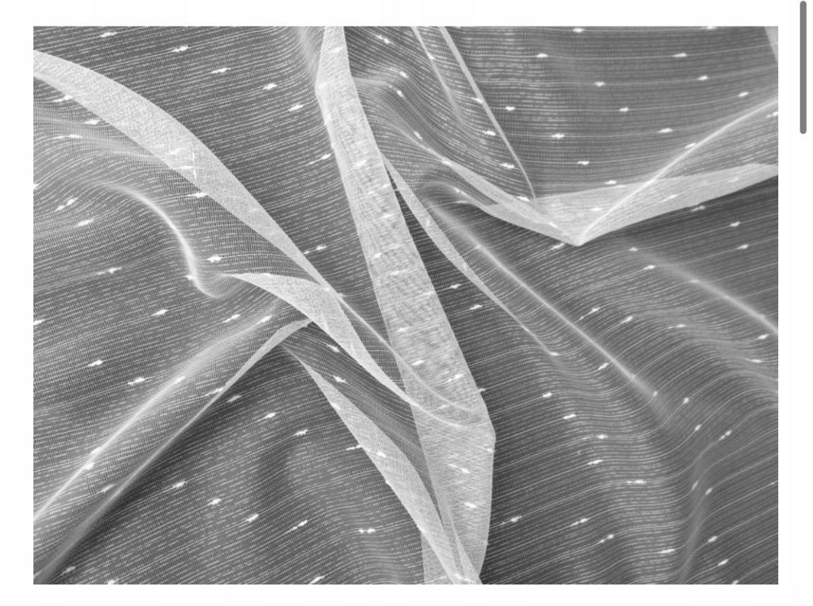 

Deszczyk Woal Sable Firana Biała I Gatunek Śliczna