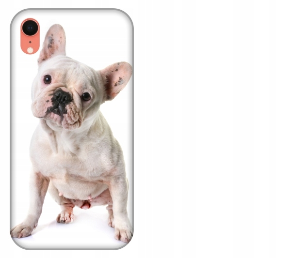 

Etui pokrowiec iPhone Xr Pies buldog francuski