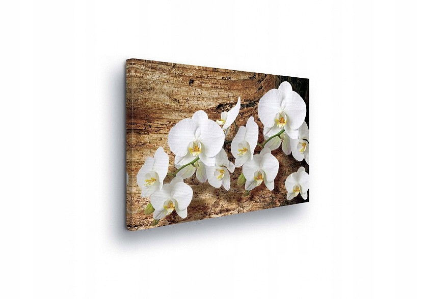 Obraz 100x75 Bílé orchideje dřevěné pozadí textura květiny příroda klid