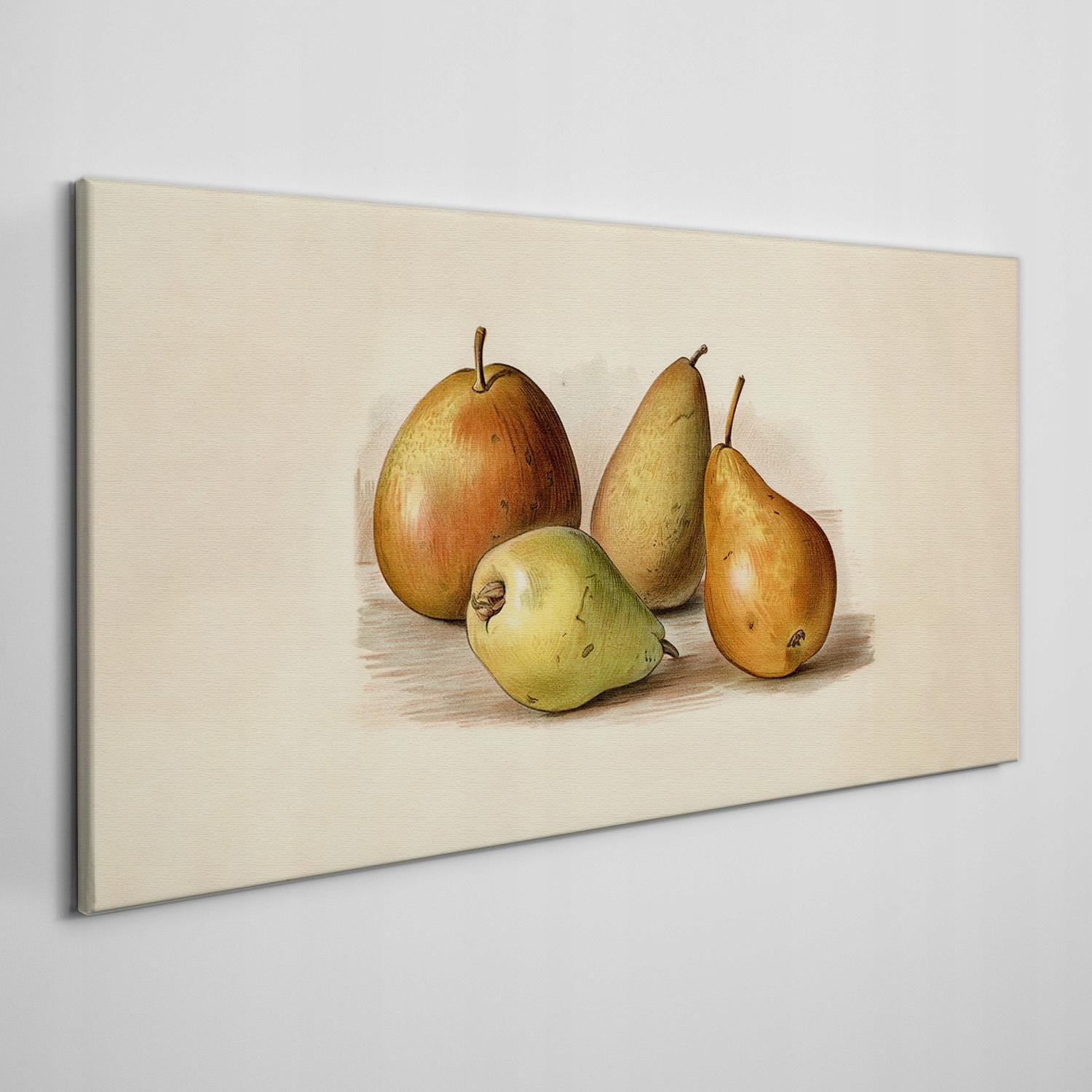 

Foto-obraz na ramie płótno Owoce gruszki 120x60 cm