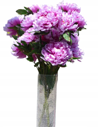 PIWONIA FIOLET BUKIET 8 KWIATÓW 16 CM GŁOWA