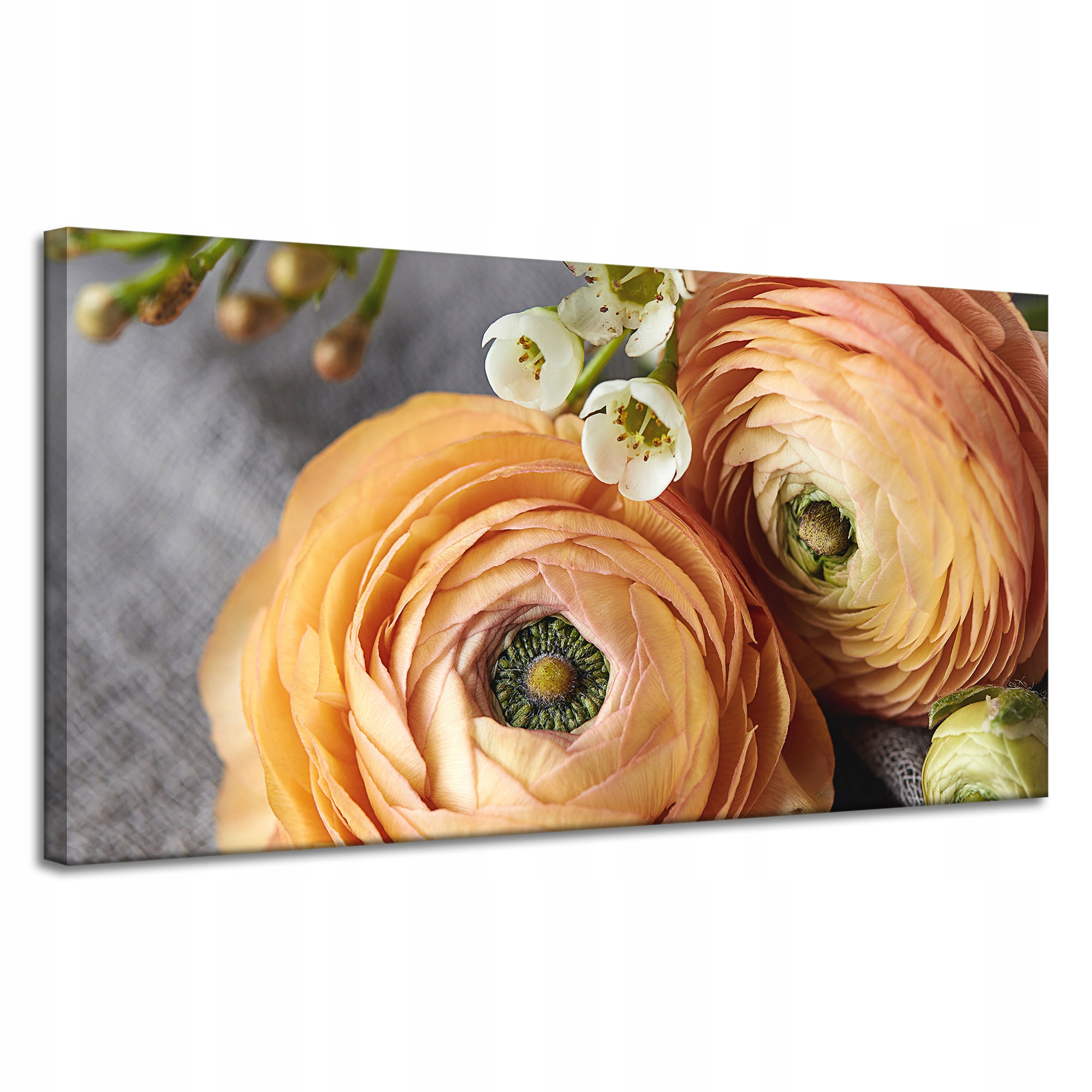 Obrazy na plátně Botanika Květiny Pastelové 120x60