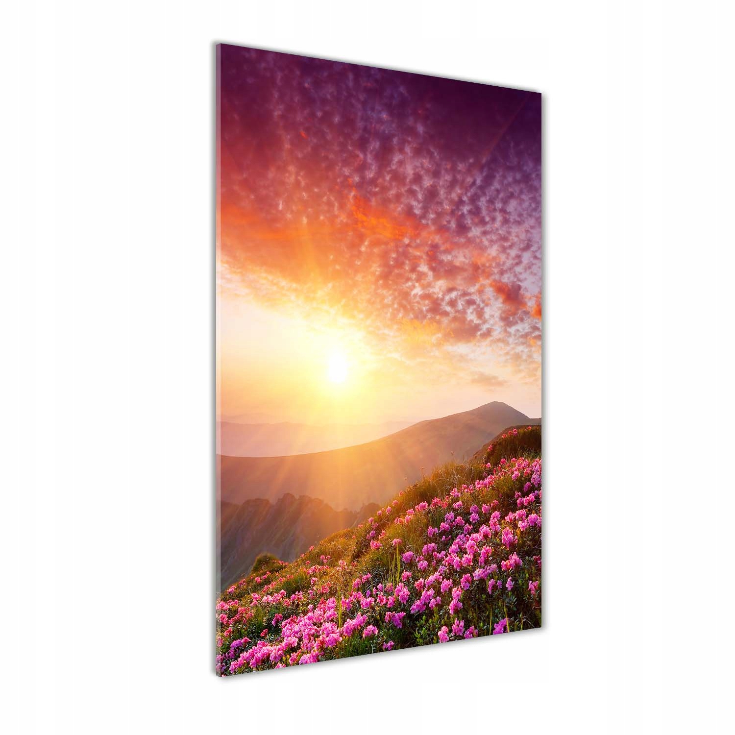 

Foto obraz szkło akrylowe Wiosna w górach 60x120cm