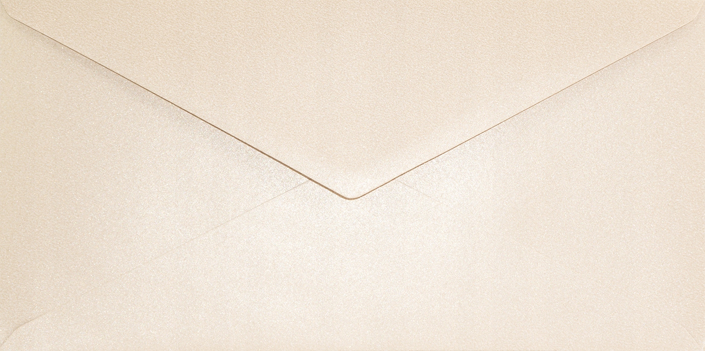 

Koperty DL Aster Met. Nude Powder nude 25szt.