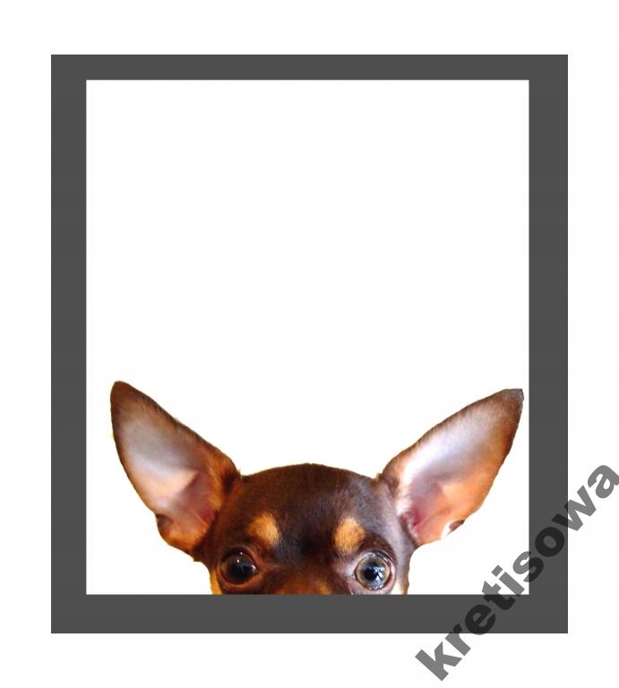 

Damska Pies Dog Doberman Buldog Husky Wzory r6a