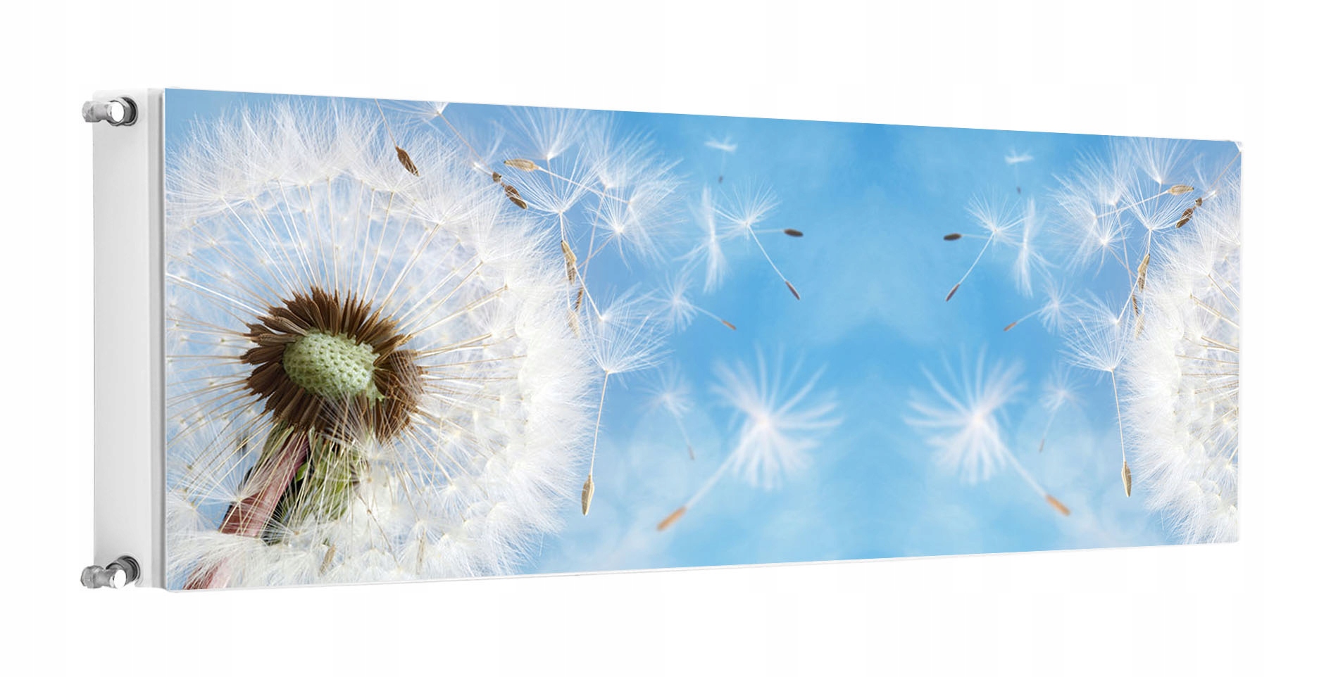 Magnetka Magnetická Podložka Na Radiátor 160x60 Kvety Fototapeta