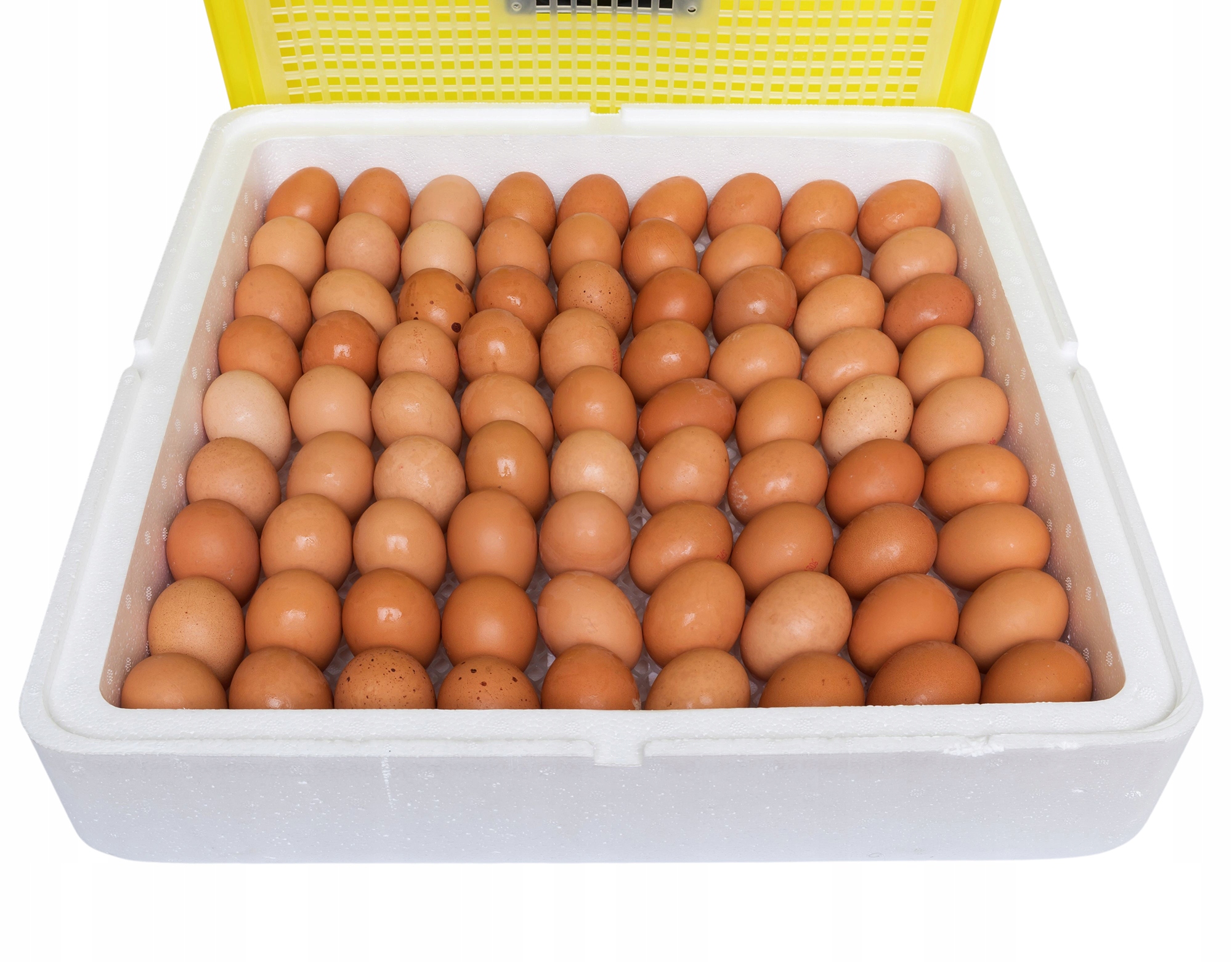 INKUBATOR KLUJNIK WYLĘGARKA JAJ WYLĘGU DROBIU 88 j Przeznaczenie jaja gęsie jaja indycze jaja kacze jaja kurze jaja pawie jaja perlicze jaja przepiórcze uniwersalne