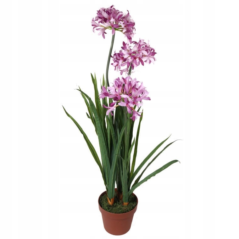 Růžový dekorativní česnek v květináči o výšce 85 cm, Hotová Ozdoba