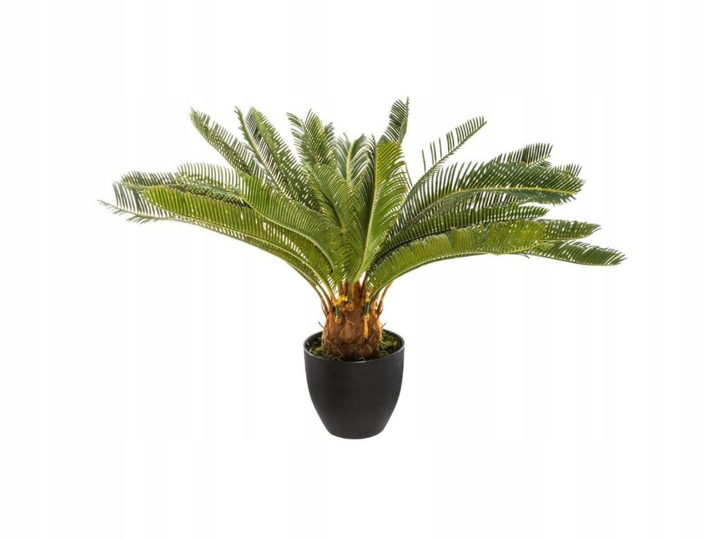 Umelá rastlina v kvetináči Palma Cykas, sag tree, 72 cm