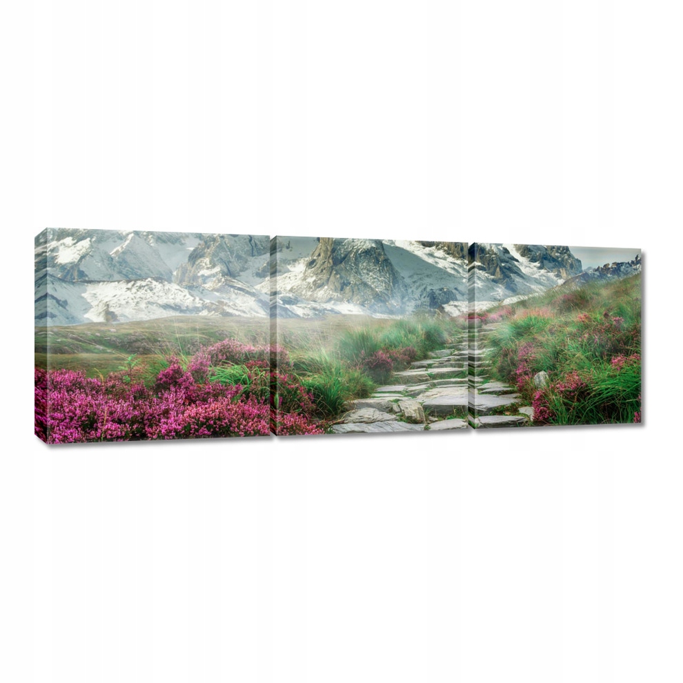 

Obrazy 120x40 Górski widok