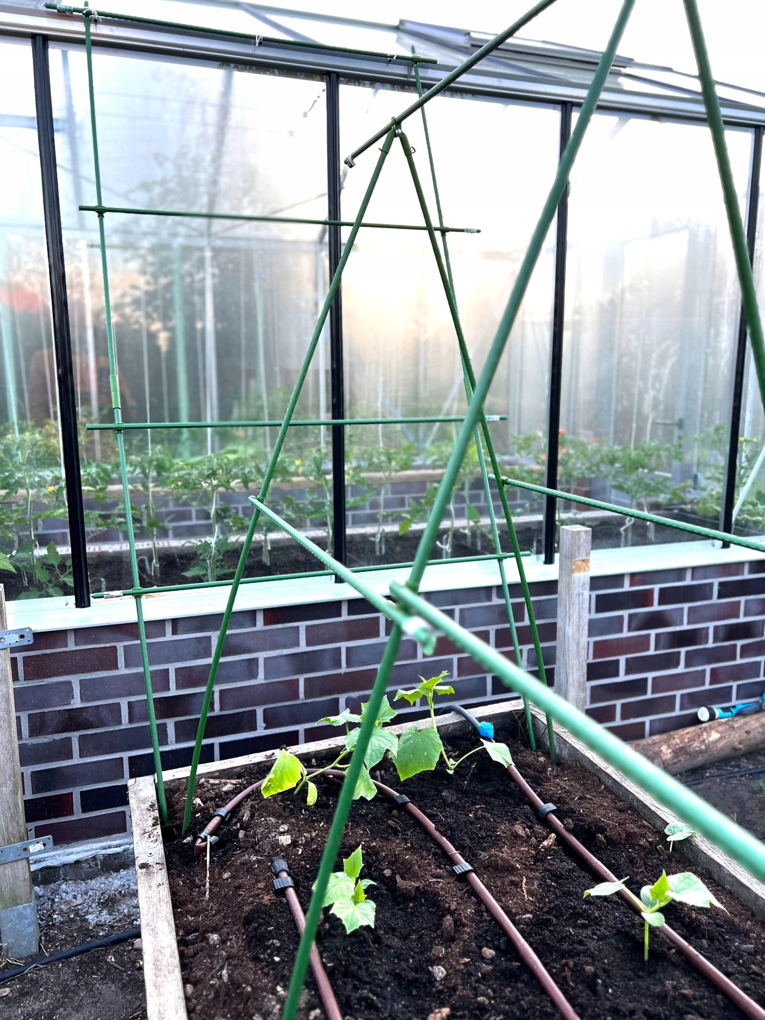 Łącznik szczytowy, regulowany do tyczek 11mm - 4szt/opak Materiał wykonania tworzywo sztuczne