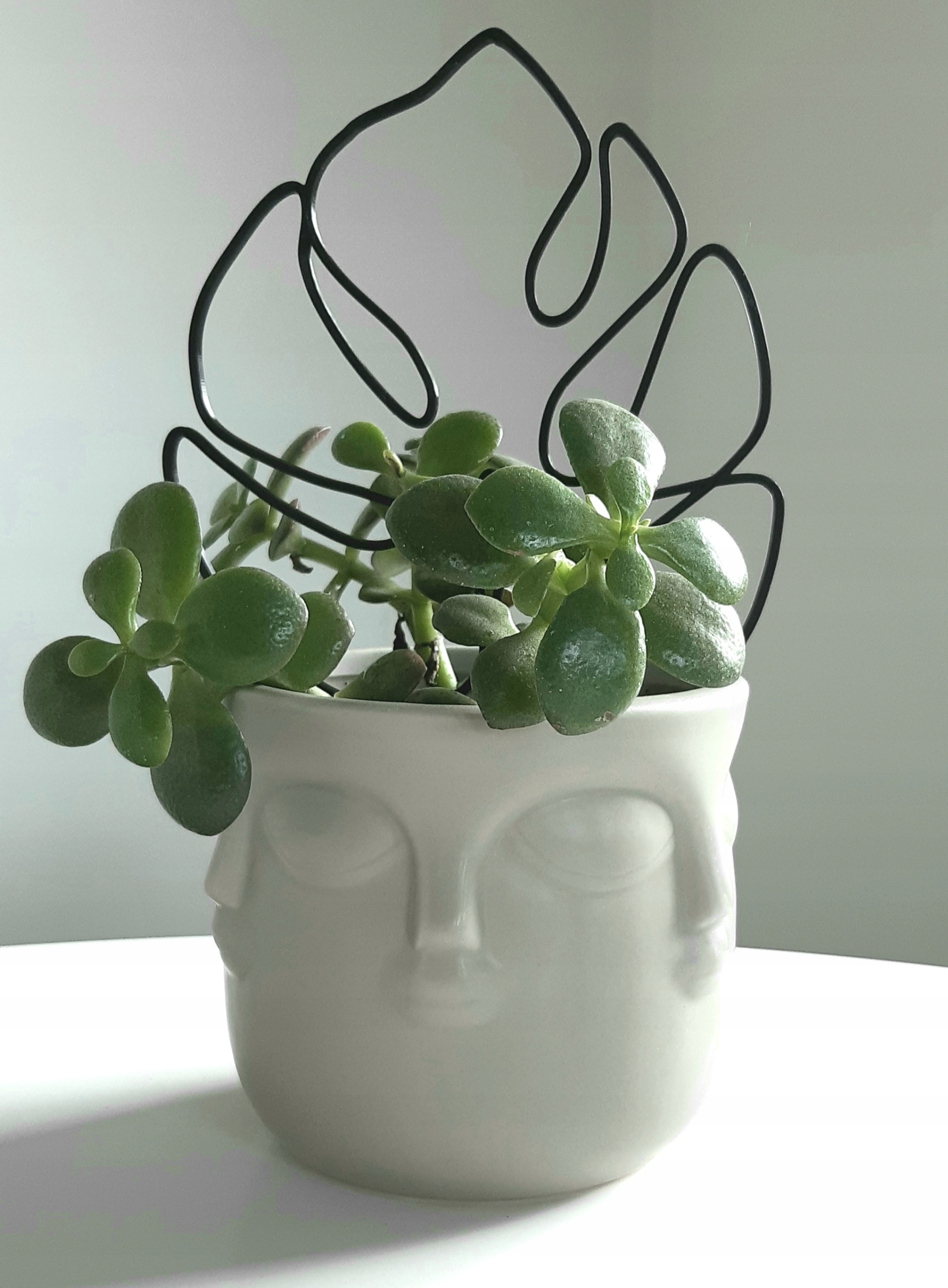 PODPÓRKA OZDOBA KWIATÓW ROŚLIN MONSTERA S 20 CM Szerokość produktu 15 cm