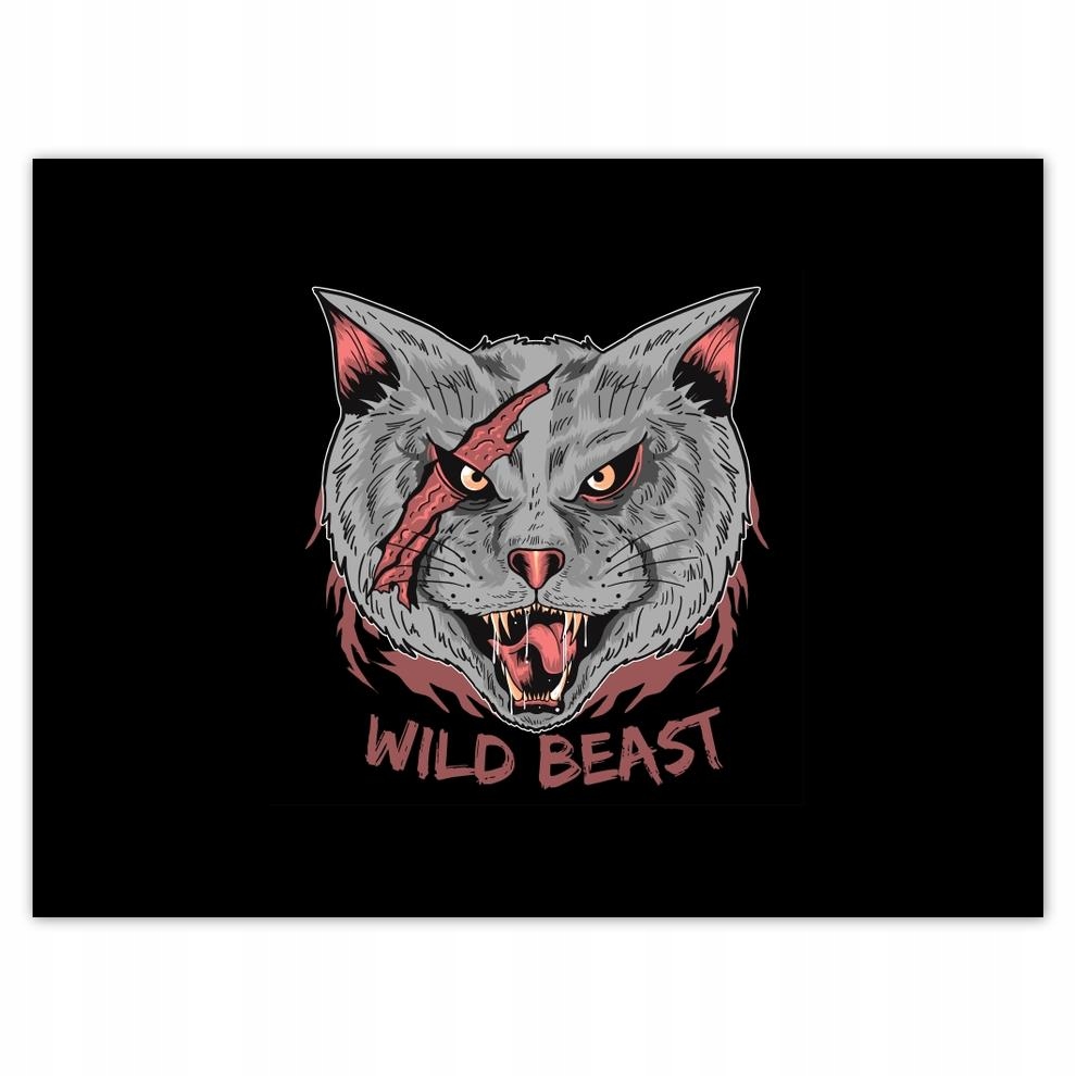 

Plakat 40x30 Kot Kotek Kotki Kicia