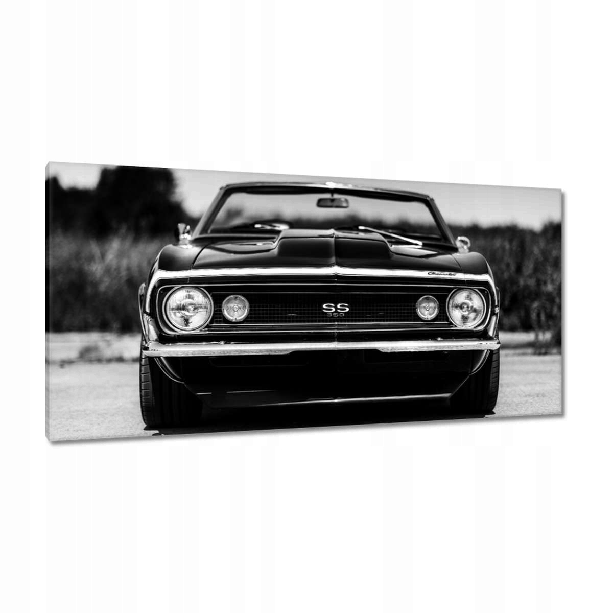 Obrazy 115x55 Chevrolet Camaro Ss 350