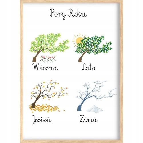 PLAKAT EDUKACYJNY OBRAZEK MONTESSORI POGODA PORY ROKU NAUKA SZKOŁA 50x70