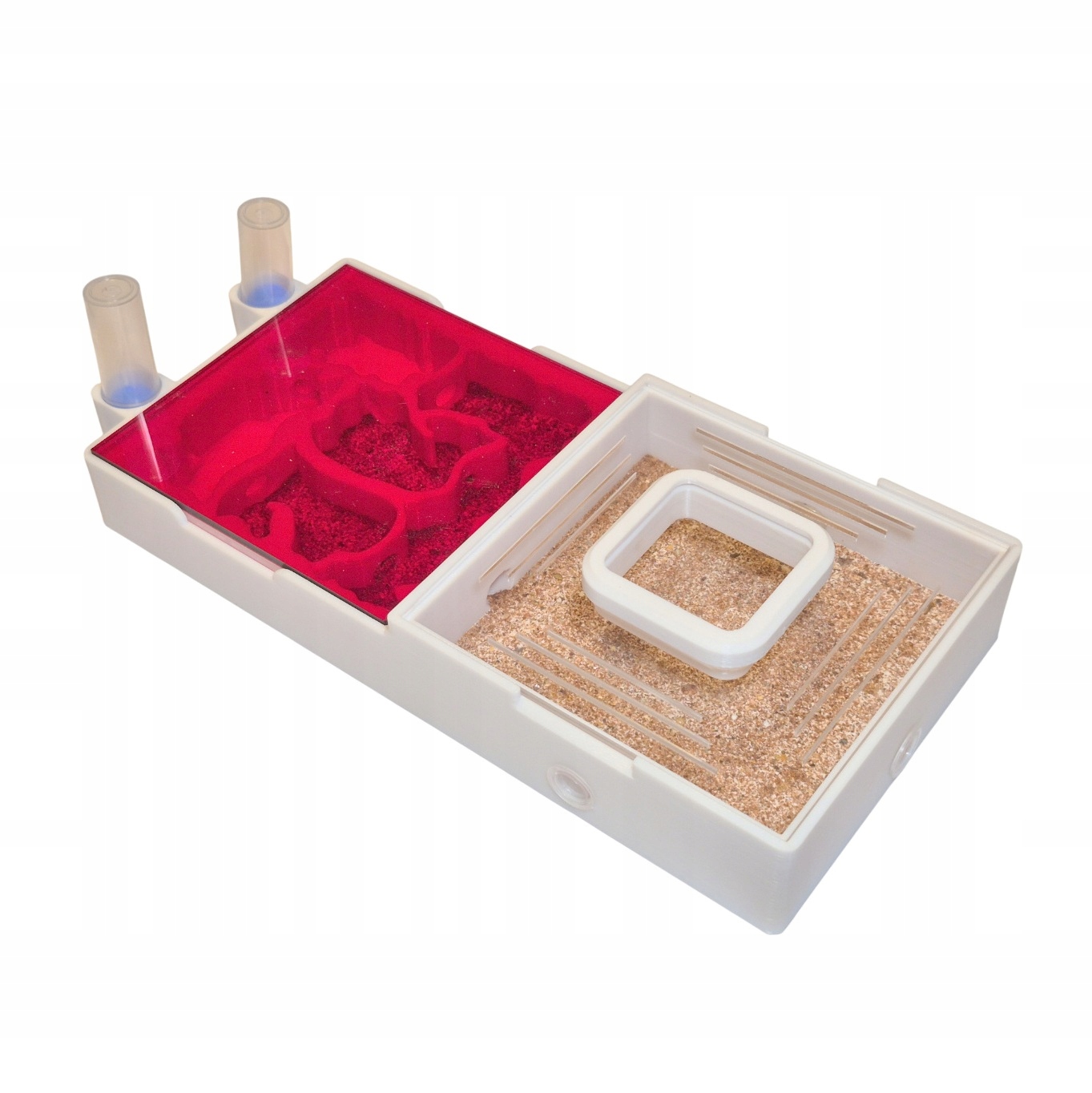 Formikarium dla mrówek Art. Design 3D-1 Red Line hodowla mrówki AntHunter