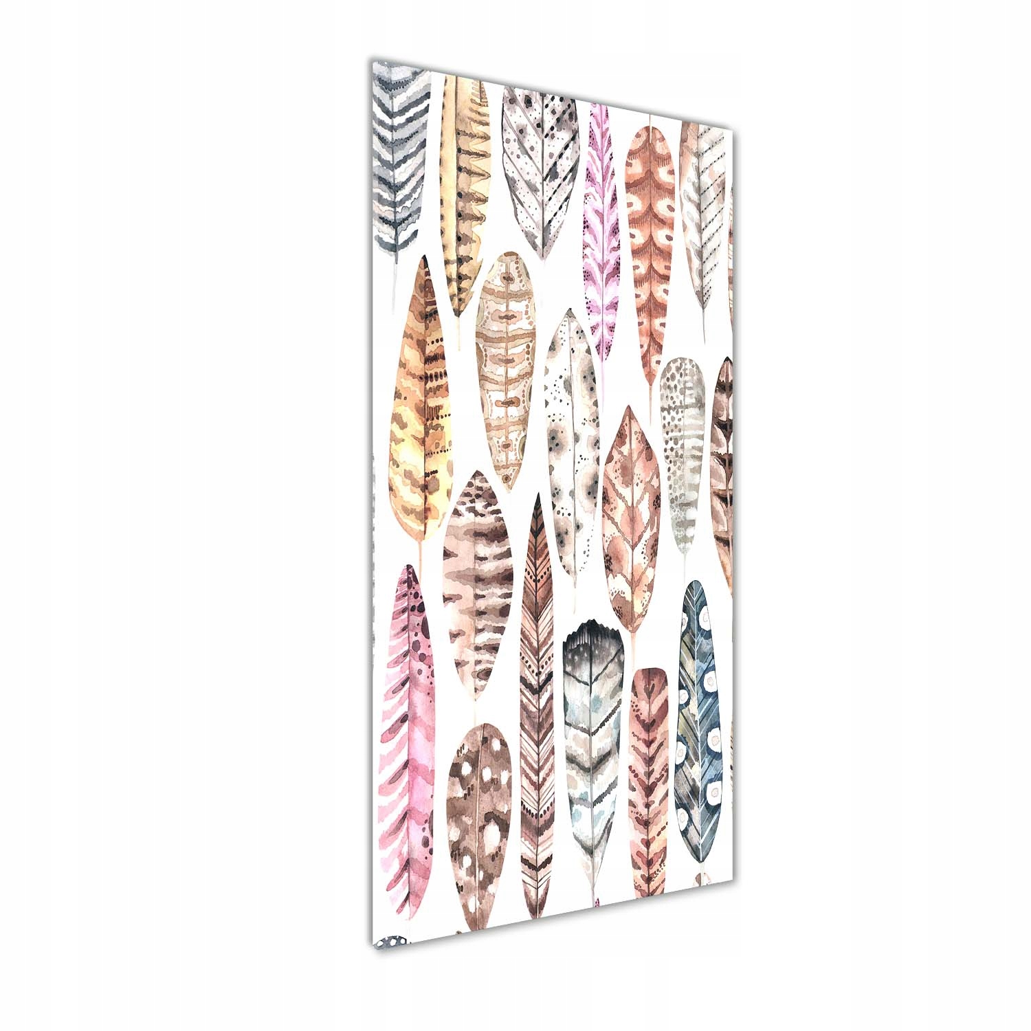 

Foto obraz zdjęcie na szkle Kolorowe pióra 50x125