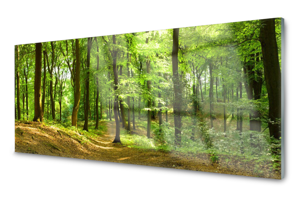 

Panel szklany do kuchni Płytka Las 125x50
