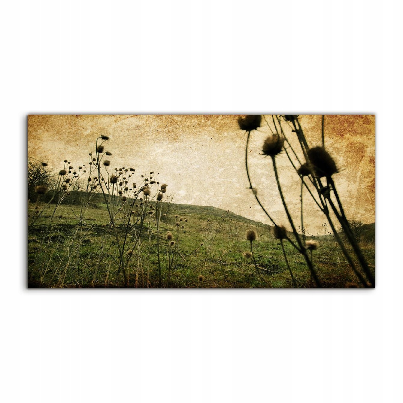 Akrylový obraz 120x60 s grafikou Lúka Kvety Príroda