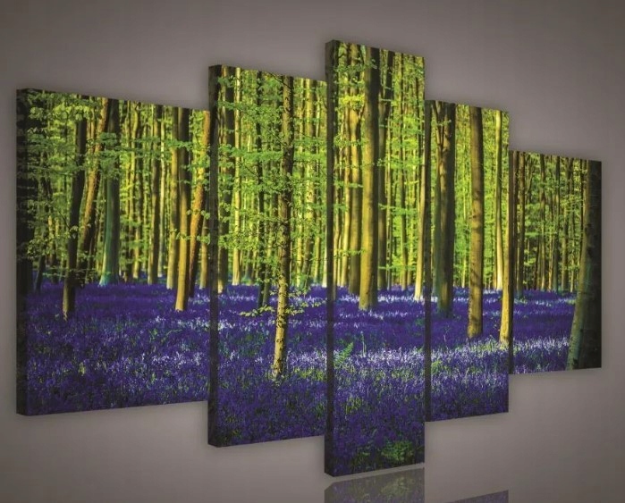 Obraz 170x100 začarovaný les fialový koberec kvetov svetlo pokoj príroda