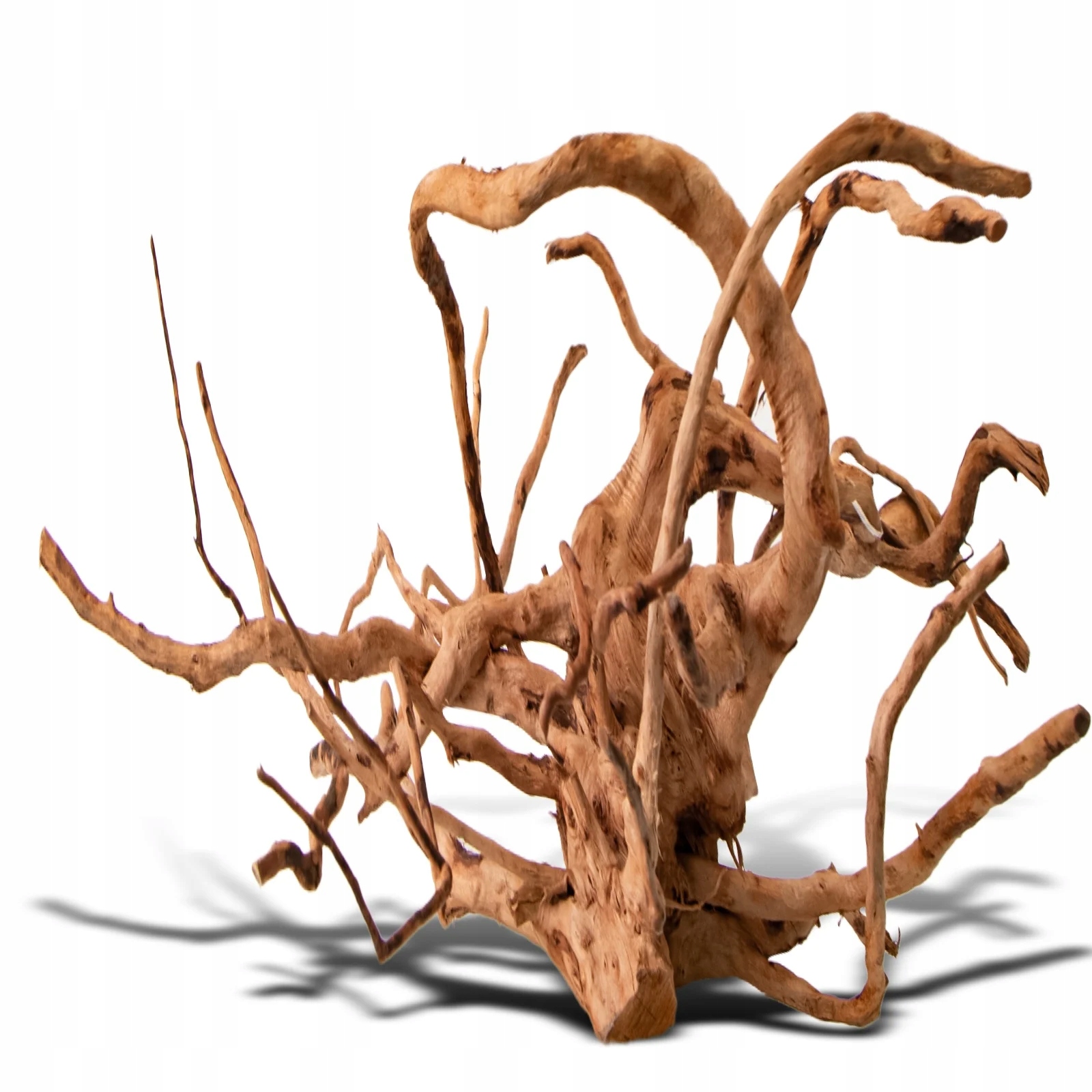 Levně Japonský Kořen Pro Akvárium A Terárium Přírodní Ozdoba Velikost L