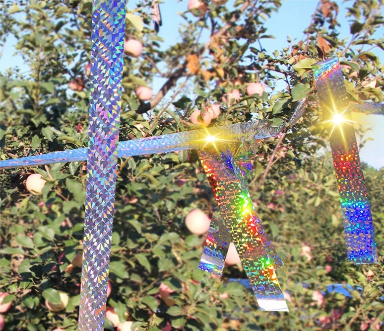 ODSTRASZACZ PTAKÓW TAŚMA HOLOGRAFICZNA ODSTRASZAJĄCA PTAKI SZPAKI KRUKI 50m Długość siatki 1 m