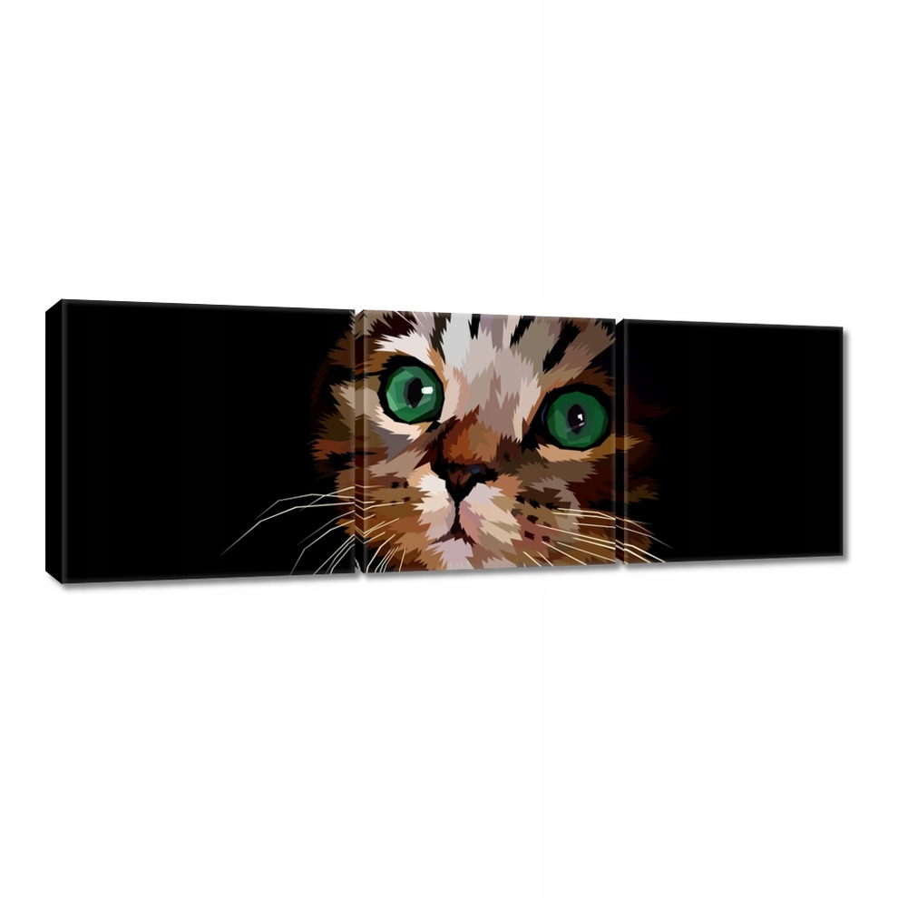 

Obrazy 60x20 Kotek Kotki Koty Kicia