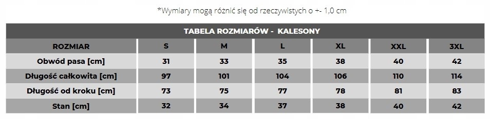 Getry Kalesony Spodnie Termoaktywne Długie Męskie Ocieplane JONY SREBRA L Rozmiar L