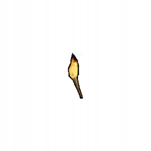 RESURRECTED Torch Pochodeň Barbara Ladder Diablo 2 D2R PC