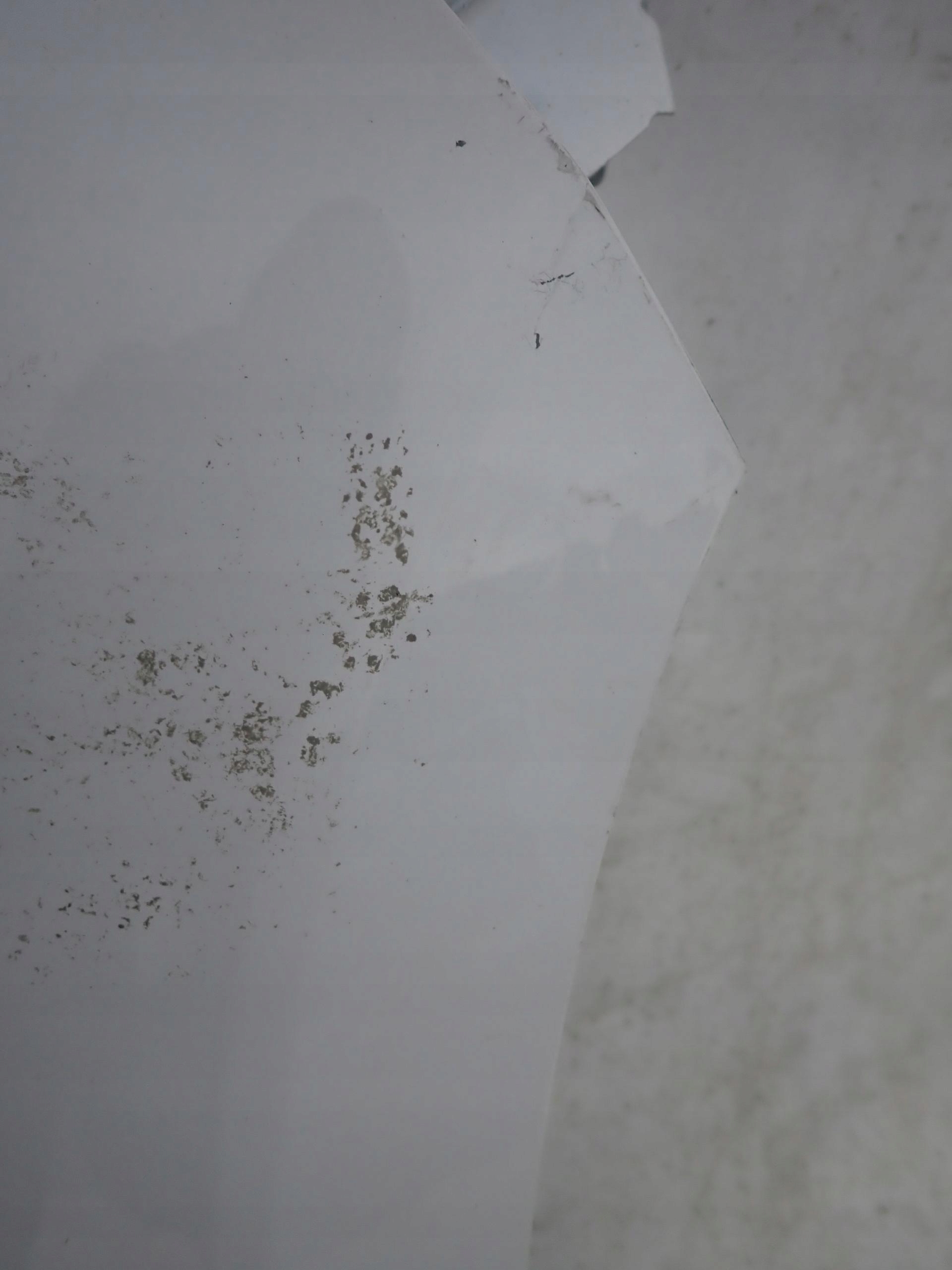 PEUGEOT 2008 13- fender right front front