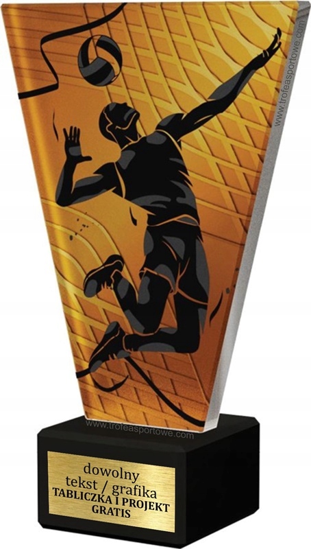 

statuetka Siatkówka szkło+marmur+grawer 17cm
