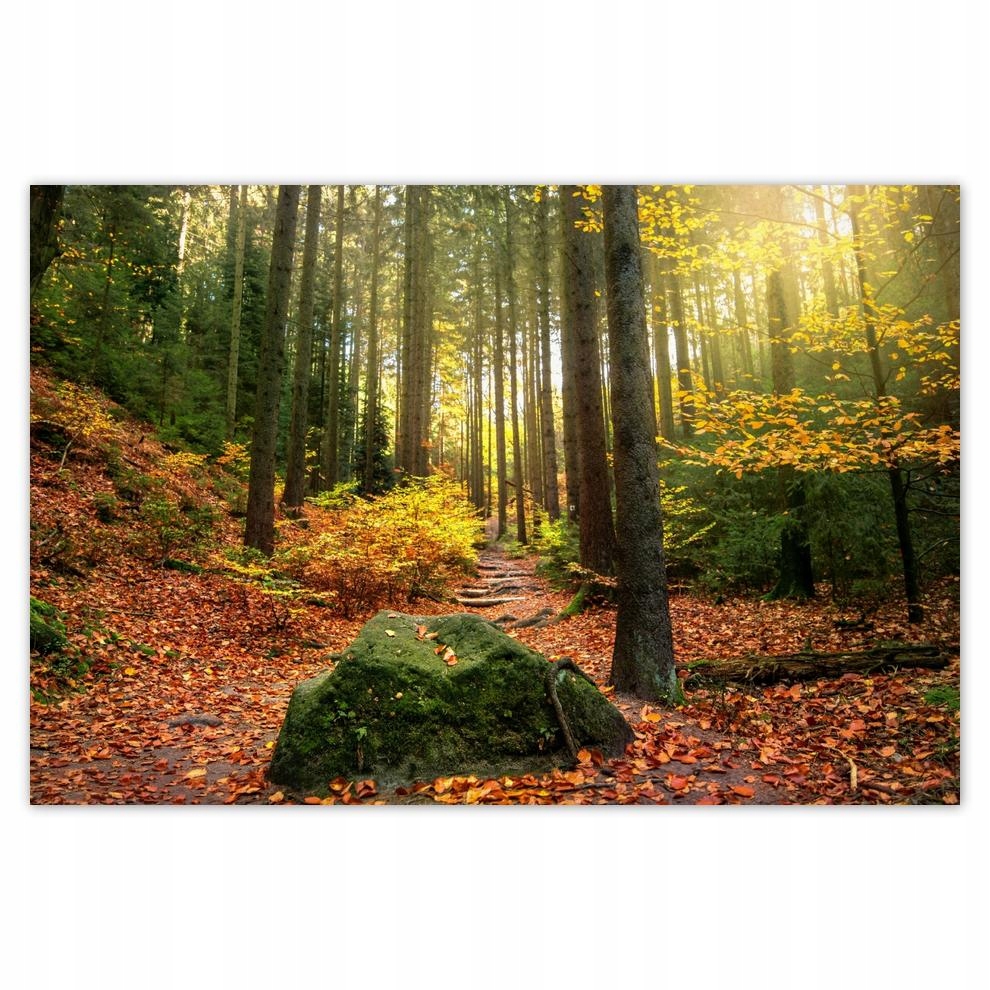 

Plakat 93x62 Pejzaż Krajobraz