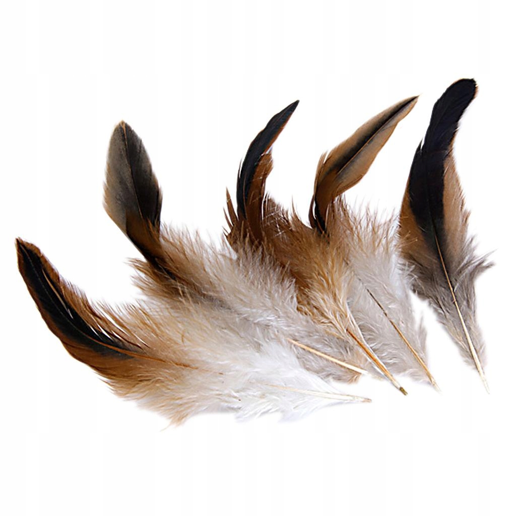 50 sztuk Naturalne Kogut Coque Feather \\\ / cm