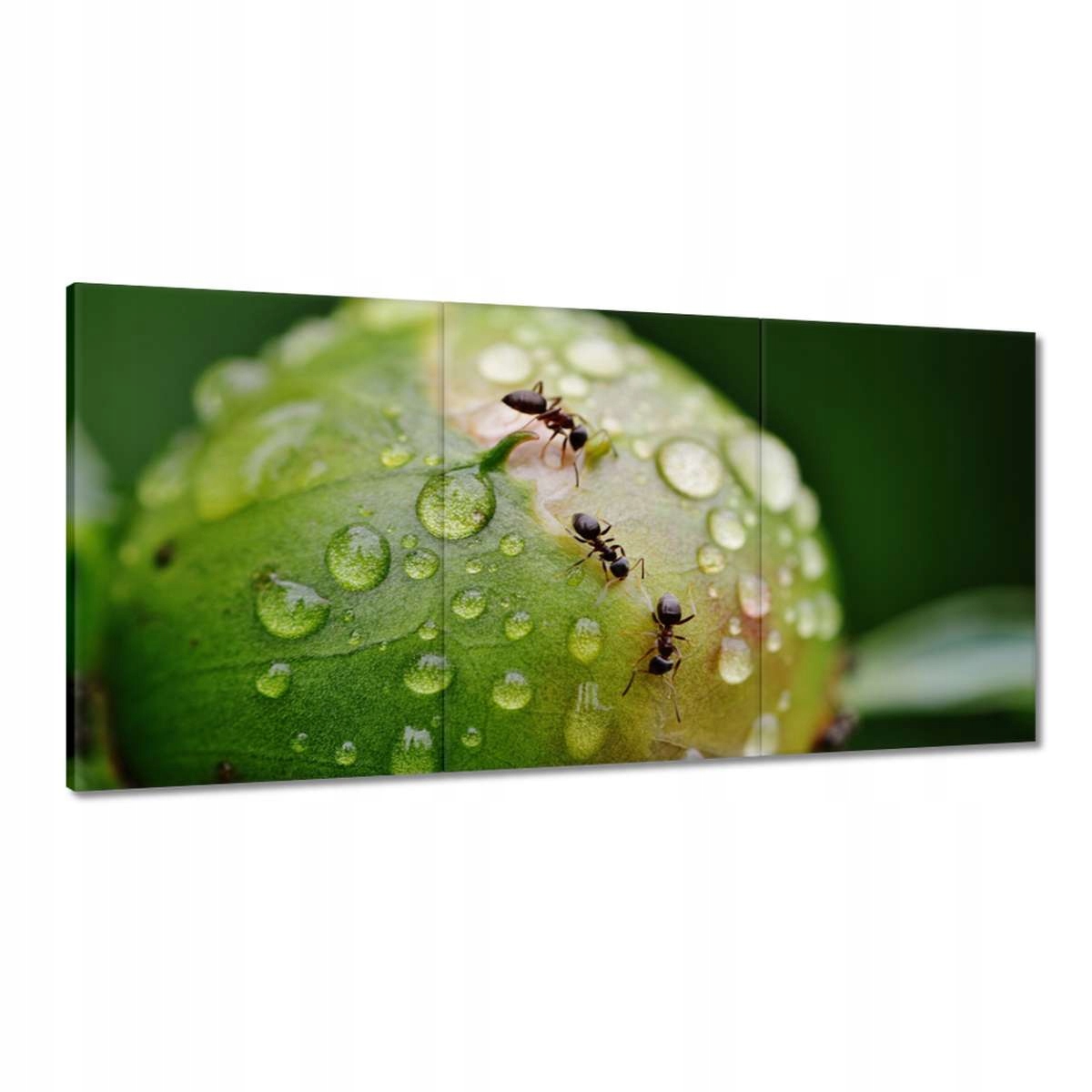 Obrazy 180x90 Zvieratá Zvieratká