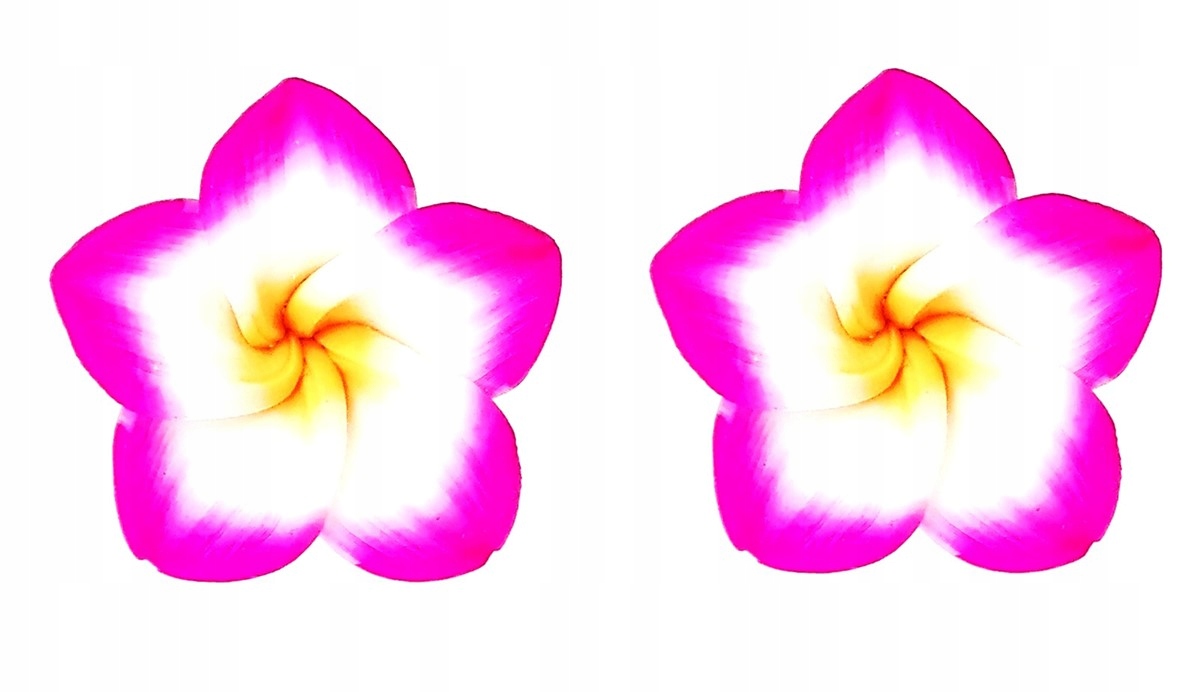 

Kolczyki kwiaty hawajskie różowe