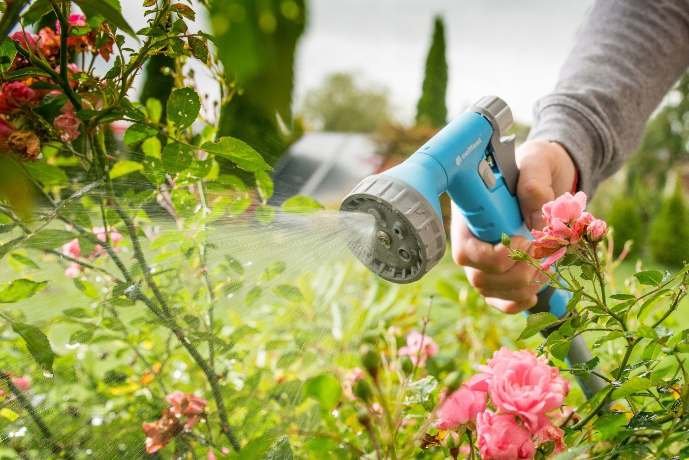 Zestaw ze zraszaczem RAIN IDEAL 1/2" - 5/8" Cellfast Marka Cellfast