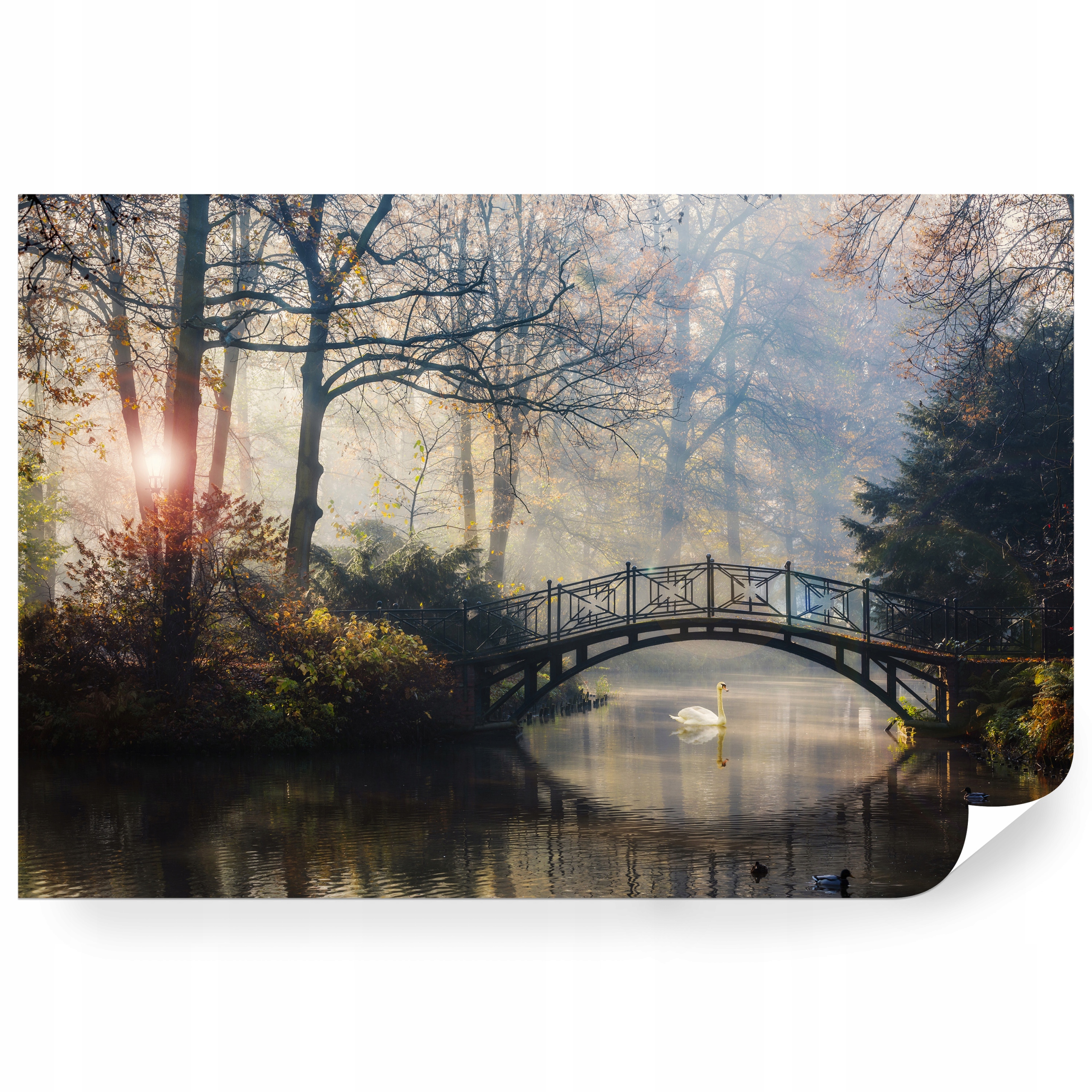 Fototapeta samolepicí Podzimní Most A Labuť V Mlze 270 x 180 cm