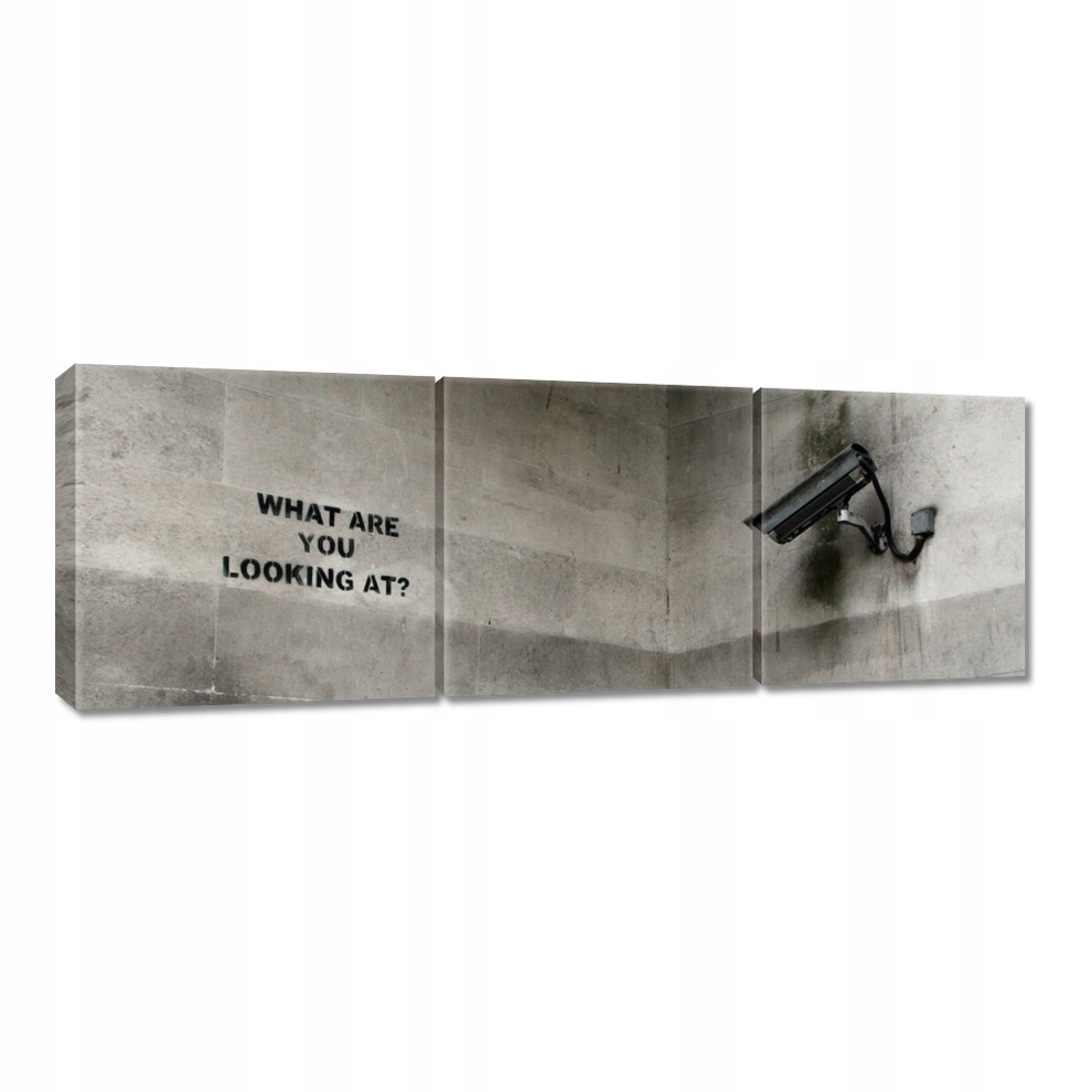 

Obrazy 150x50 Banksy Kamera Graffiti