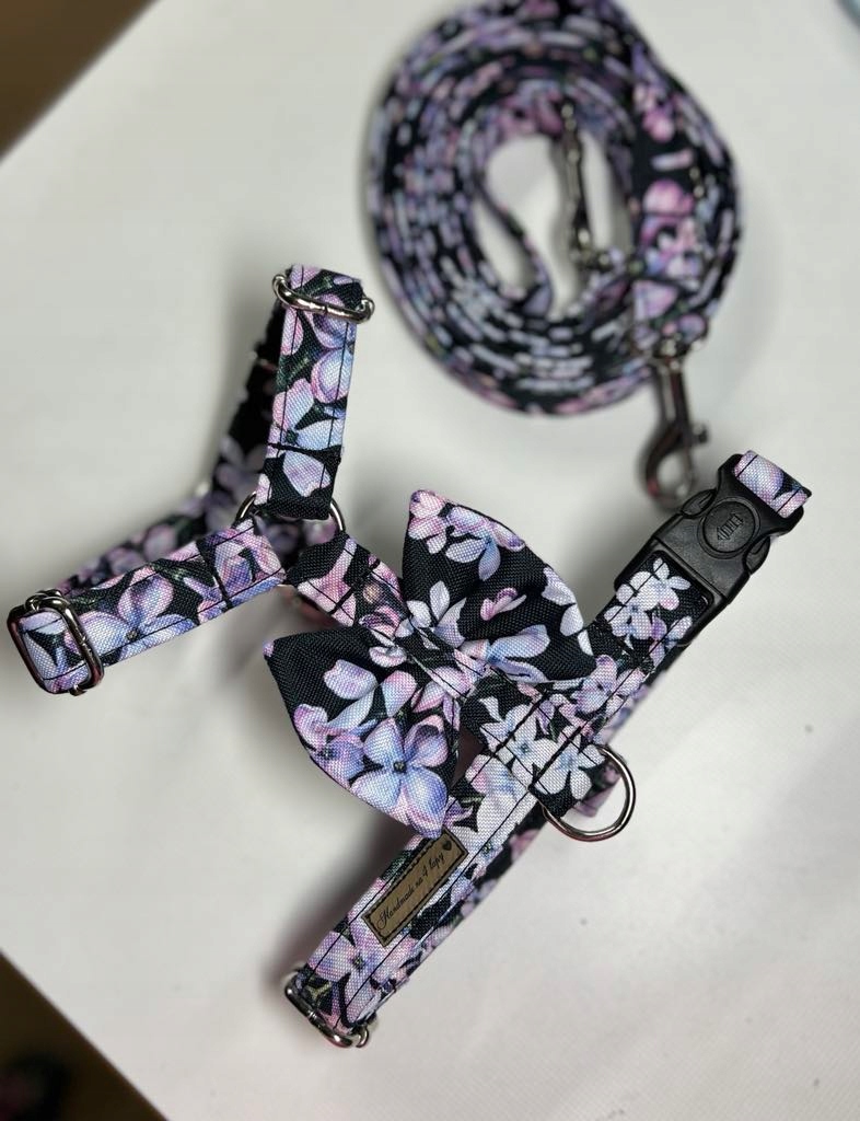 Levně postroj s mašličkou quard pro psa a vodítko přepínací 200 cm