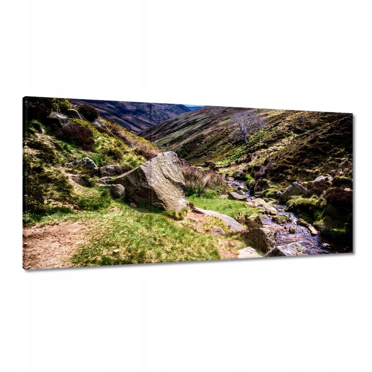 Obrazy 120x60 Horský potůček