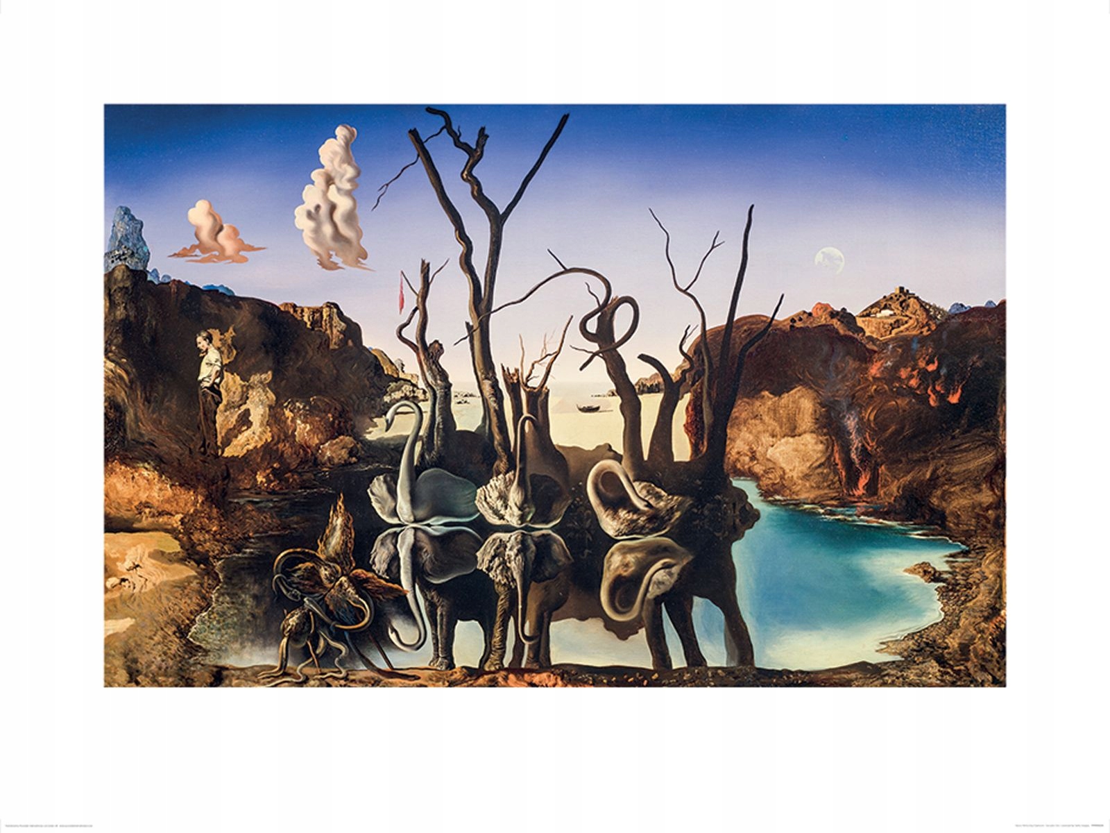 

Reprodukcja Salvador Dali Łabędzie jezioro 80x60cm